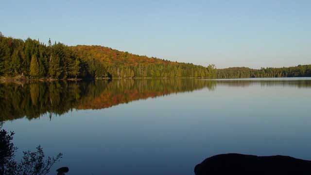 View of a lake in Algonquin Provincial Park, Canada